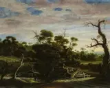 Joachim Govertsz Camphuysen, Bewaldete Dünenlandschaft, Öl auf Holz