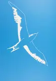 Alex Katz, Auktion 414, Los 743