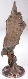 Jerry Anderson, Living Petroglyphs, Bronze