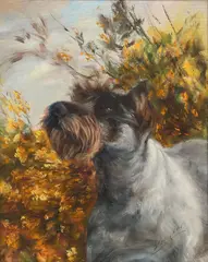 German School, Portrait of a Miniature Schnauzer, Oil on board