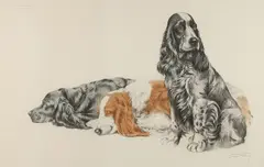 Léon Danchin, Three Cocker Spaniels, Color etching on paper