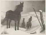 Grant Wood, February, Lithograph on paper