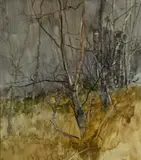 James Morrison, TREE STUDY, 1983, oil on board