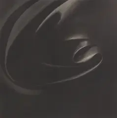 Alison Watt, DARK LIGHT I, 2007, 2-colour lithograph and screenprint, I 17/30
