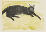 Elizabeth Blackadder, BLACK CAT, 1983, Lithograph, 50/75