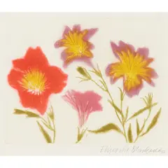 SALPIGLOSSIS (ALLAN 74) by Elizabeth Blackadder, 1994, Etching and aquatint on Arches paper, H/C, aside from the edition 50, sold Jan 2026