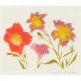 Elizabeth Blackadder, SALPIGLOSSIS (ALLAN 74), 1994, Etching and aquatint on Arches paper, H/C, aside from the edition 50