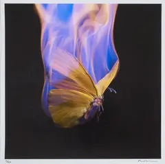 Mat Collishaw, WE ARE LEGION, 2022, Digital print on lustre paper, 12/250