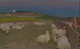Alexander Mann, HARVEST MOON, oil on canvas