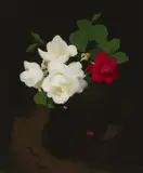 Stuart Park, RED AND WHITE ROSES, oil on canvas