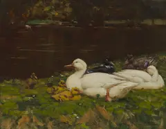 Patrick Downie, DUCKS RESTING ON A RIVERBANK, oil on board