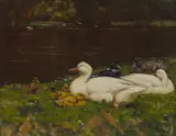 Patrick Downie, DUCKS RESTING ON A RIVERBANK, oil on board