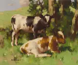 David Gauld, AYRSHIRES IN DAPPLED SUNLIGHT, oil on canvas