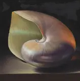 David Warrilow, TURBO SHELL, Oil on board