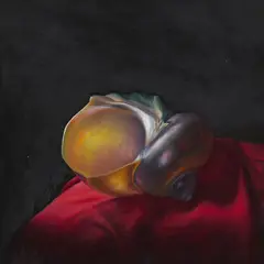 David Warrilow, NAUTILUS SHELL, Oil on board