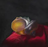 David Warrilow, NAUTILUS SHELL, Oil on board