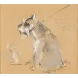 Harold Riley, SCHNAUZER CALLED RONNIE, chalk and pencil
