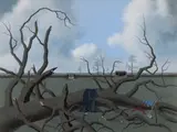 Tristram Hillier, FALLEN ELM, 1979, oil on canvas