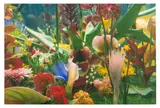 Marc Quinn, ITALIAN LANDSCAPE, 2001, pigment print on canvas