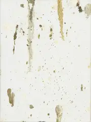 Dan Colen, UNTITLED (BIRDSHIT), 2007 (DC8561), oil on canvas
