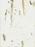 Dan Colen, UNTITLED (BIRDSHIT), 2007 (DC8561)