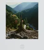 Andy Goldsworthy, STACKED STICKS, HIGH UP ON A LEDGE, 1987, Cibachrome print mounted on card, ed. 5