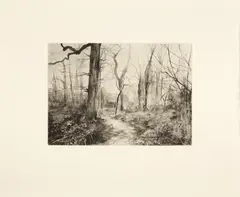 George Shaw, TWELVE SHORT WALKS, 2005, each print signed and dated in pencil to margin, then editioned and numbered 1-12 in pencil verso, also editioned in pencil to title page, printed by Hugh Stoneman at Stoneman Graphics, Cornwall, published by Charles Booth-Clibborn under his imprint The Paragon Press, housed in original buckram covered wooden solander box (12)