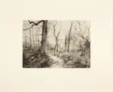 George Shaw, TWELVE SHORT WALKS, 2005, each print signed and dated in pencil to margin, then editioned and numbered 1-12 in pencil verso, also editioned in pencil to title page, printed by Hugh Stoneman at Stoneman Graphics, Cornwall, published by Charles Booth-Clibborn under his imprint The Paragon Press, housed in original buckram covered wooden solander box (12)
