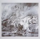 Gerhard Richter, TIGER - 1965/2023