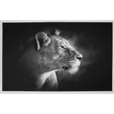 Björn Persson, LION'S SOUL XL, Inkjet pigment print on Hahnemühle Photo Rag Ultra Smooth 305gsm, 4/10