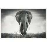 Björn Persson, MOTHER AFRICA XL, Inkjet pigment print on Hahnemühle Photo Rag Ultra Smooth 305gsm, 2/10