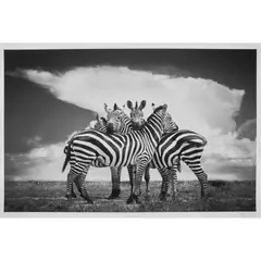 Björn Persson, CLOSE XL, Inkjet pigment print on Hahnemühle Photo Rag Ultra Smooth 305gsm, 9/10