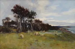 Joseph Milne, SHEEP GRAZING ON THE COAST, oil on canvas