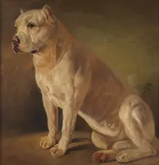 Edwin Henry Landseer, WHITE BOXER, oil on canvas
