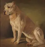Edwin Henry Landseer, WHITE BOXER, oil on canvas