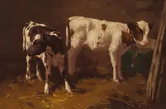 David Gauld, CALVES IN THE BARN, oil on canvas
