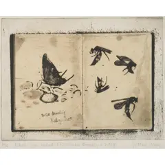 Victoria Crowe, DRAWN FROM NATURE: OUZO-DRINKING BUTTERFLY AND WASPS, Etching with chine collé, 6/30