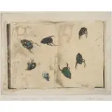 Victoria Crowe, DRAWN FROM NATURE: IRIDESCENT BEATLES, Etching with chine collé, 5/30