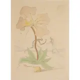 REUBEN, FROM 'THE TWELVE TRIBES OF ISRAEL' by Salvador Dalí, 1972, Etching, 179/195, sold Aug 2025