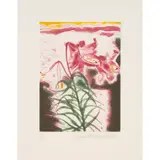 Elizabeth Blackadder, THE LILY, 1999, Etching, 21/100