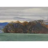 James Morrison, COPSE, 1984, oil on gesso