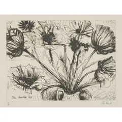 John Houston, POPPIES, 1993, Etching, 19/60
