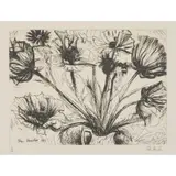 John Houston, POPPIES, 1993, Etching, 19/60