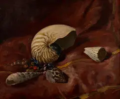 Augustus John, STILL LIFE WITH SHELLS, oil on canvas