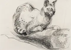 Gertrude Hermes, CAT, 1937, pencil on paper