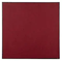Alan Green, CADMIUM PANEL, 1979, oil on canvas