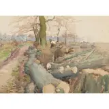 David Foggie, FELLED TREES, watercolour