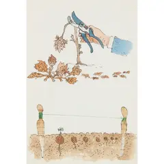 David Gentleman, SECATEURS, ink and watercolour on paper