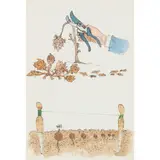 David Gentleman, SECATEURS