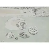 Mary Fedden, SHELLS AND PEBBLES, Lithograph, Artist's Proof